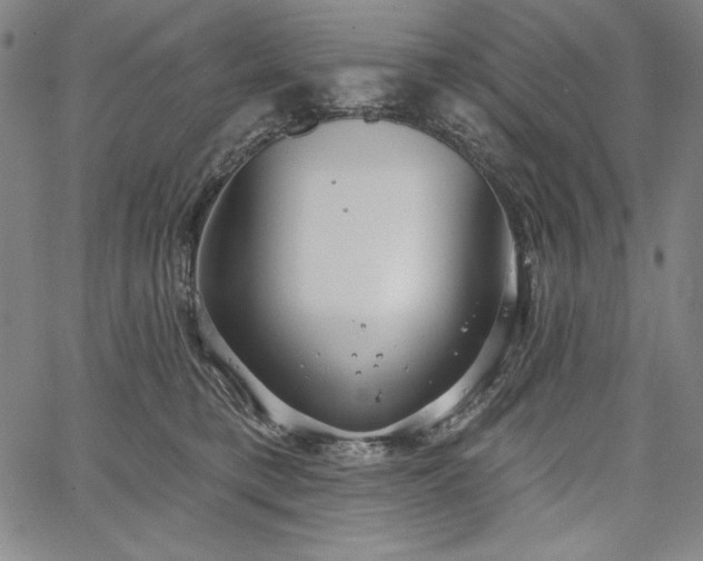 X0000067940421200604201410