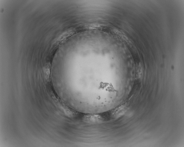 X0000067940427200604201410
