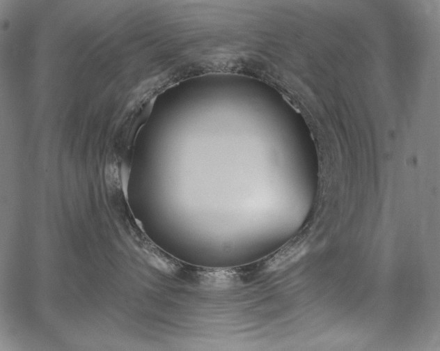 X0000067940432200604201410