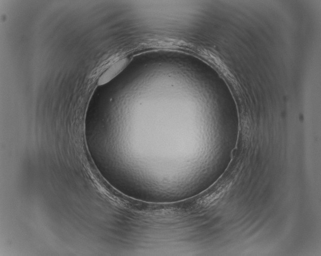 X0000067940433200604201409