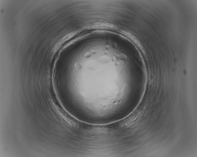 X0000067940437200604201409