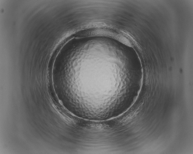 X0000067940439200604201409