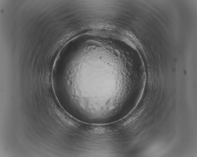 X0000067940441200604201410