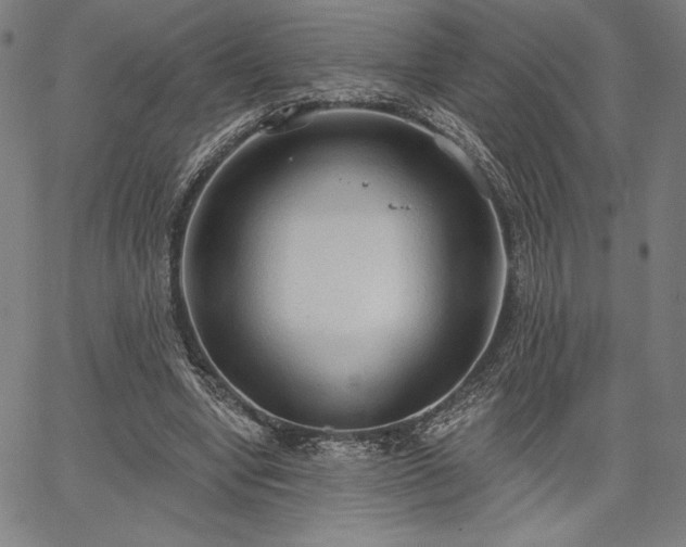 X0000067940442200604201410