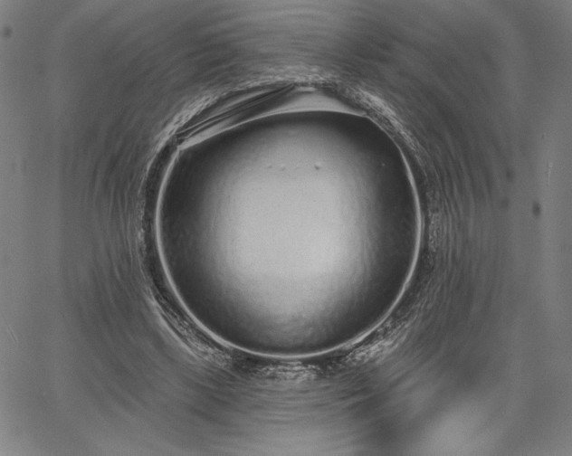 X0000067940443200604201410