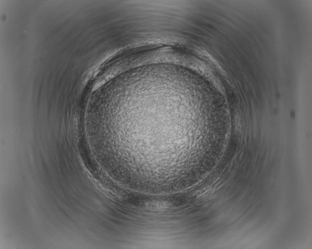 X0000067940444200604201410