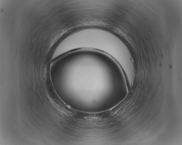 X0000067940448200604201410