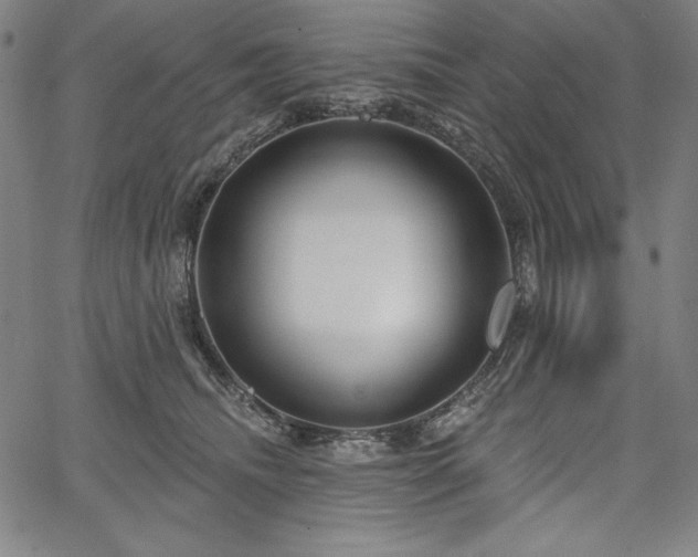 X0000067940468200604201410
