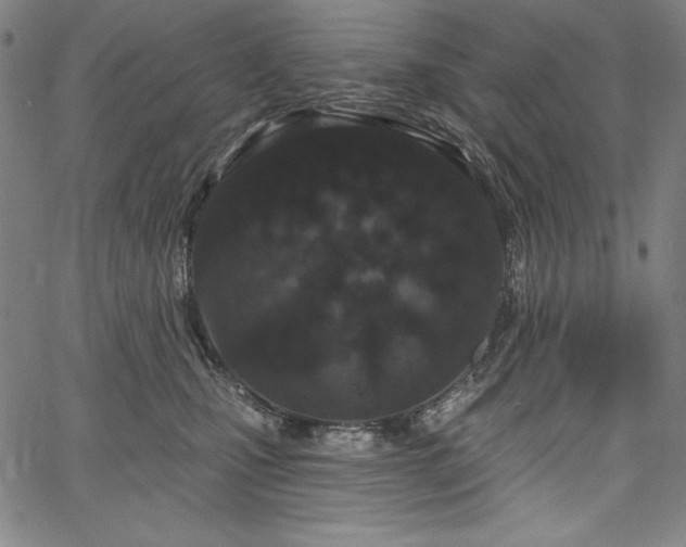 X0000067940471200604201410