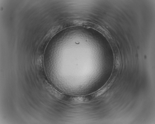 X0000067940473200604201410