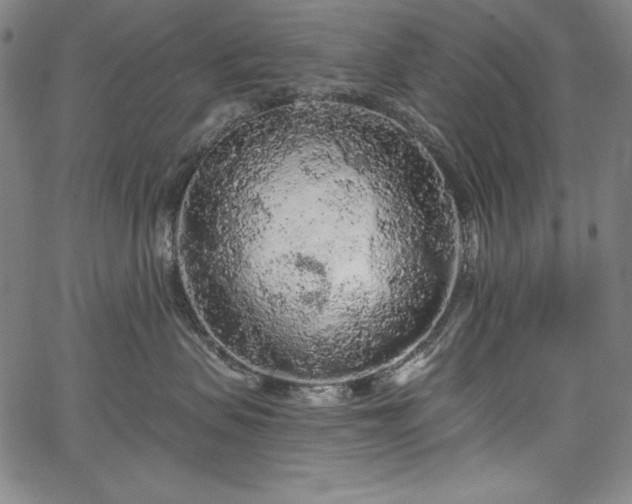 X0000067940479200604201410