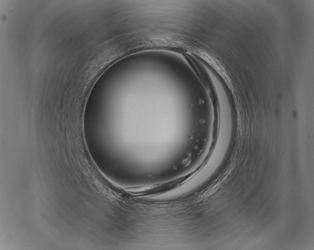 X0000067940481200604201409