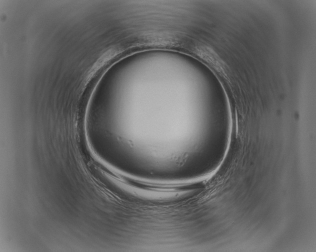X0000067940483200604201409