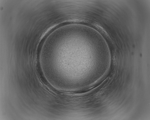 X0000067940484200604201409