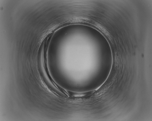 X0000067940485200604201409