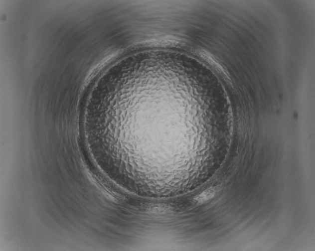 X0000067940486200604201409