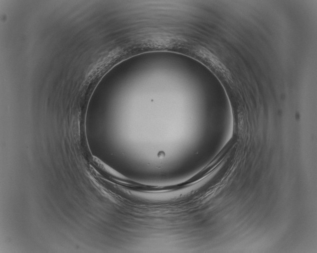X0000067940493200604201409