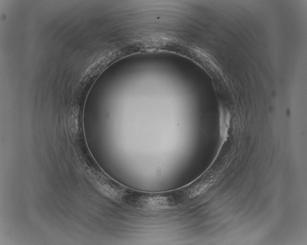 X0000067940501200604201409