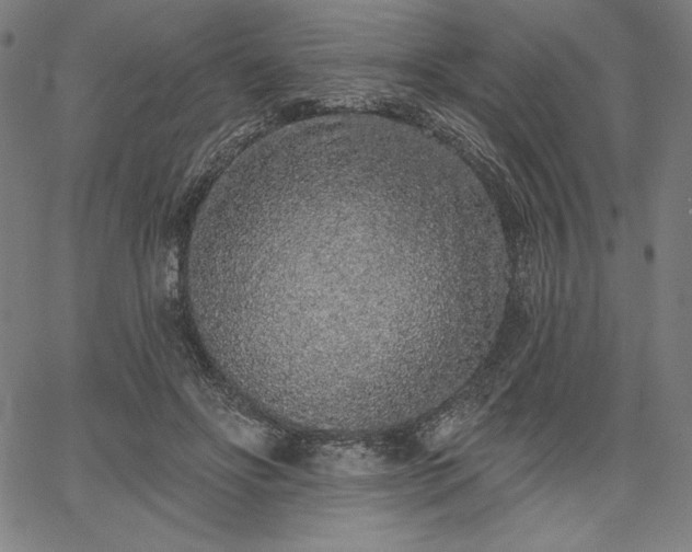 X0000067940502200604201409