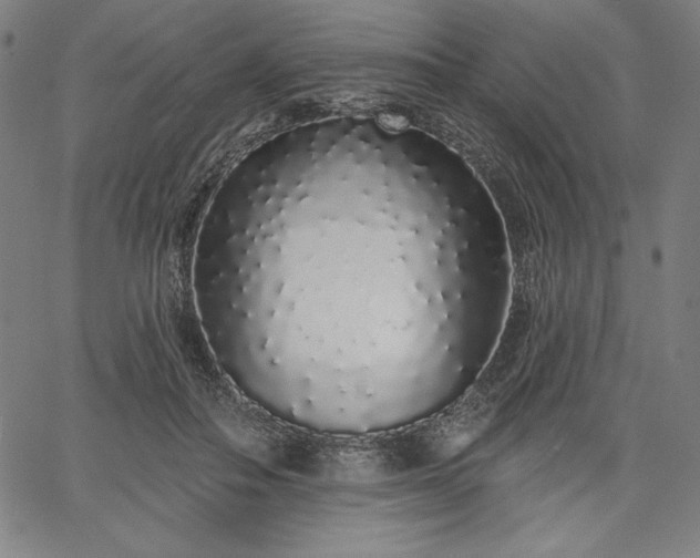 X0000067940506200604201409