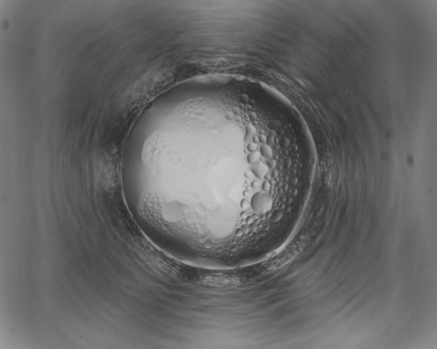X0000067940515200604201409