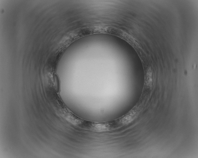 X0000067940522200604201409