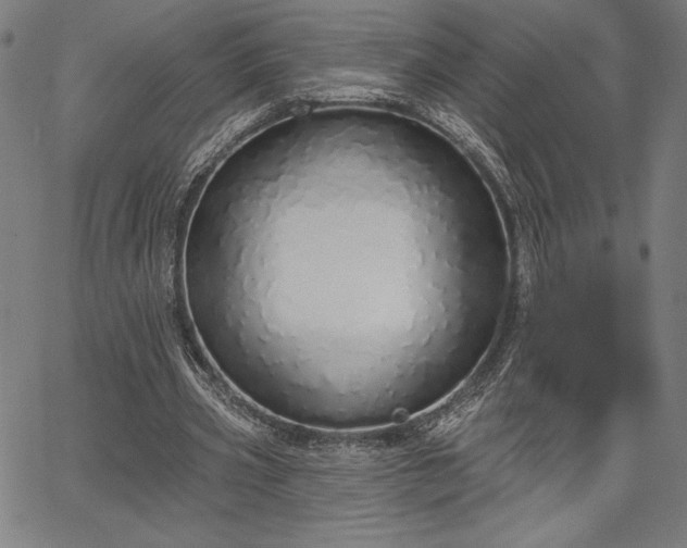 X0000067940533200604201408