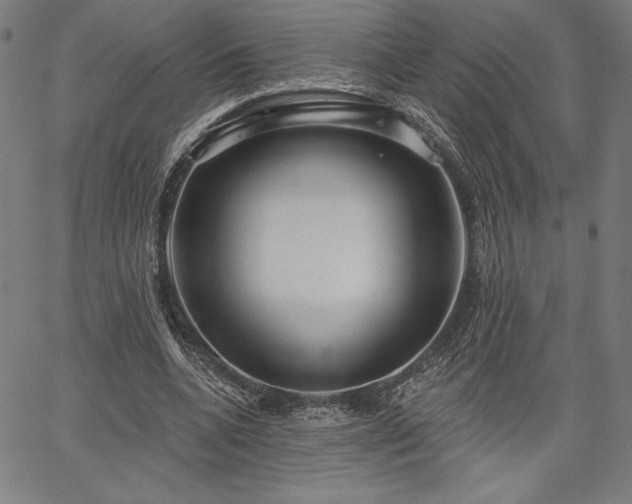 X0000067940536200604201408