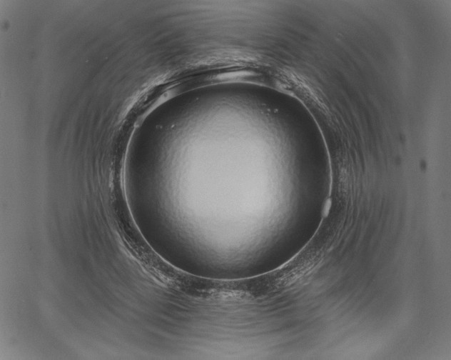 X0000067940539200604201408