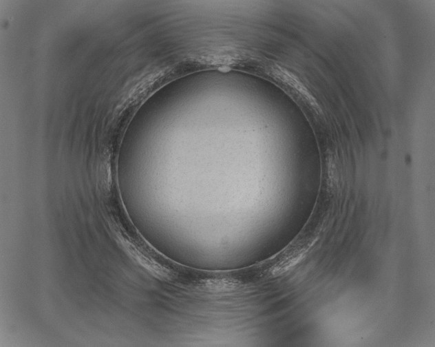 X0000067940541200604201408