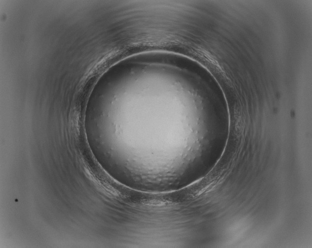 X0000067940542200604201408