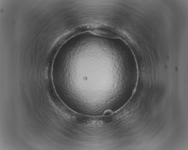 X0000067940543200604201408