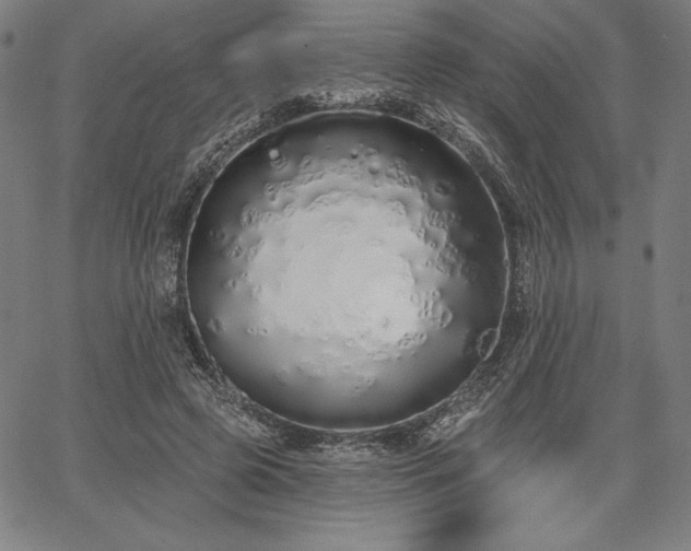 X0000067940545200604201408