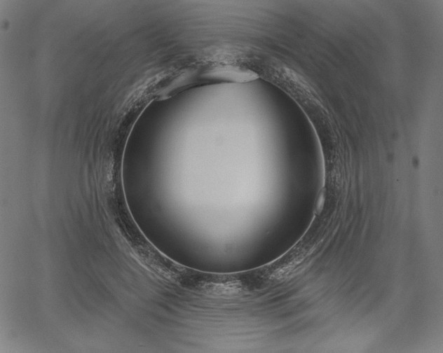 X0000067940548200604201408