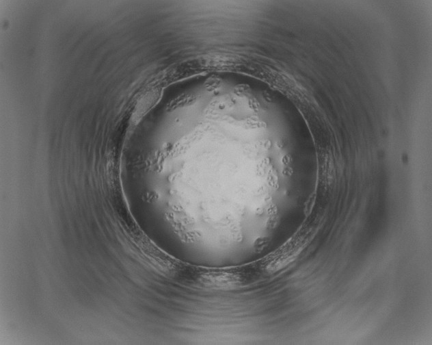 X0000067940557200604201408
