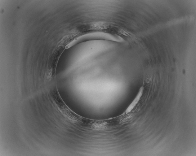 X0000067940560200604201408