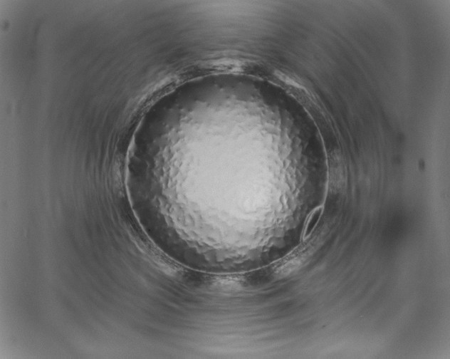 X0000067940573200604201409