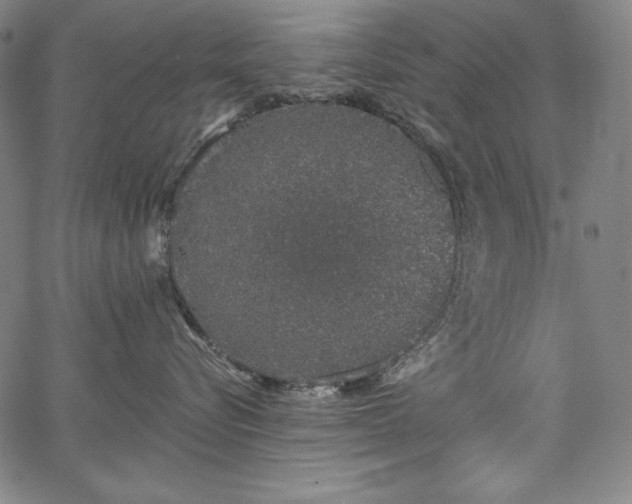 X0000067940576200604201409