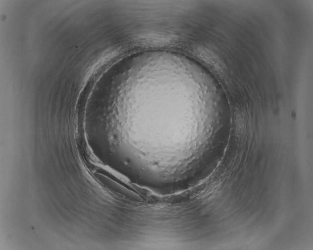 X0000067940582200604201408