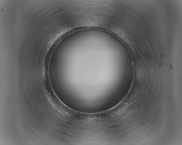 X0000067940584200604201408
