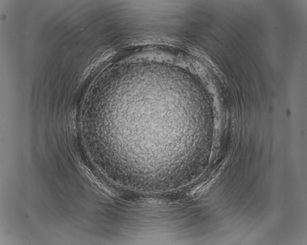 X0000067940585200604201408