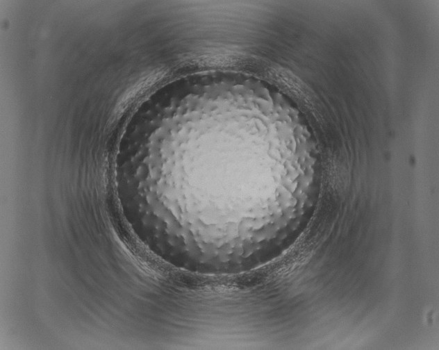 X0000067940586200604201408