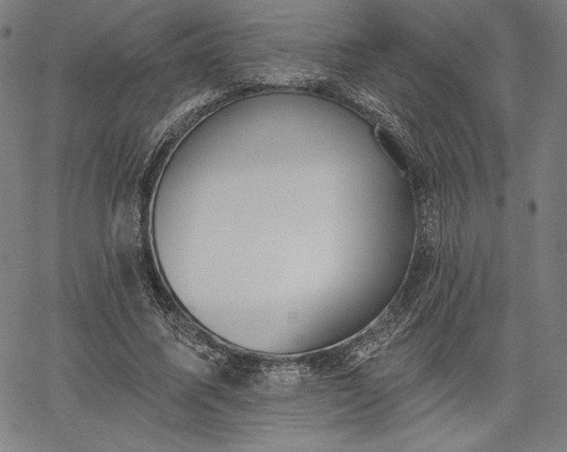 X0000067940587200604201408
