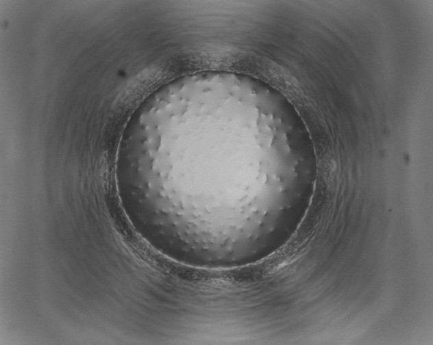 X0000067940594200604201407