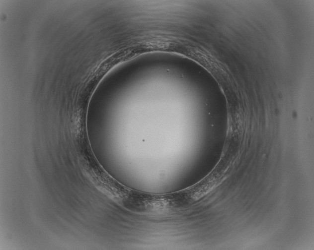 X0000067940600200604201407