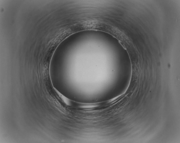X0000067940601200604201407