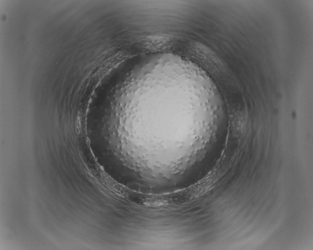 X0000067940602200604201407