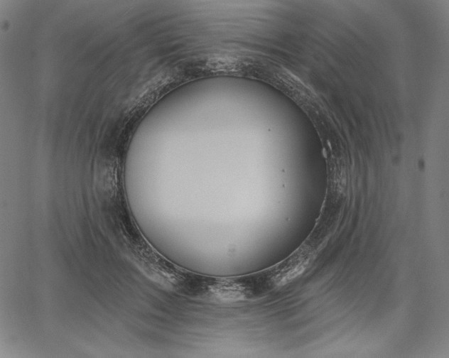 X0000067940603200604201407