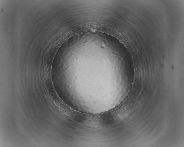 X0000067940606200604201407