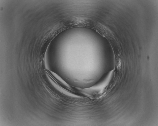 X0000067940607200604201407